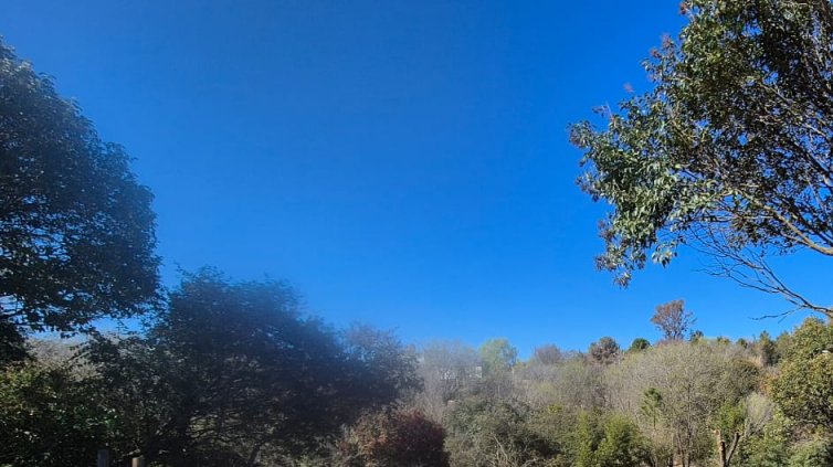 WhatsApp Image 2025-08-26 at 11.37.57.jpeg